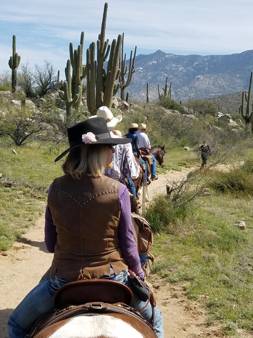 Apache Junction Horse Rescue